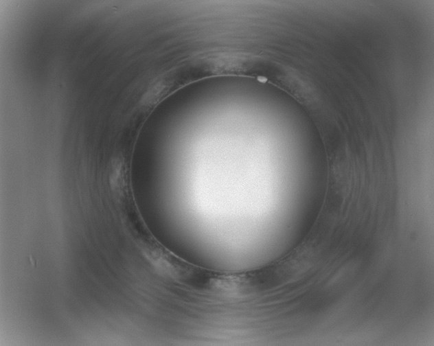 X0000056010079200508221505