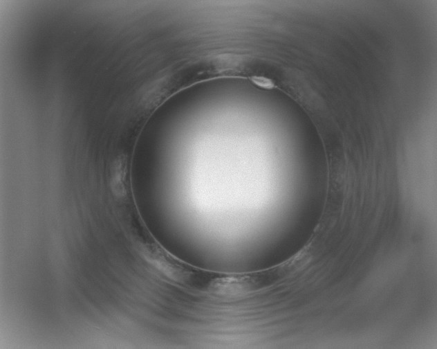 X0000056010082200508221505