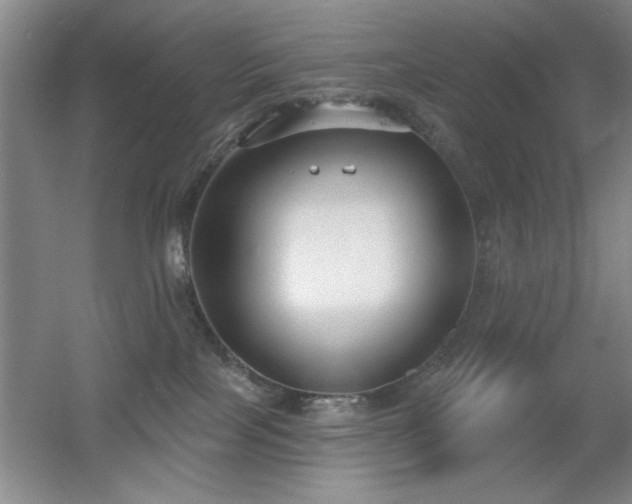 X0000056010089200508221506
