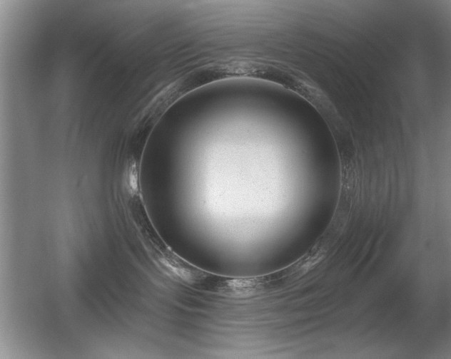 X0000056010095200508221506
