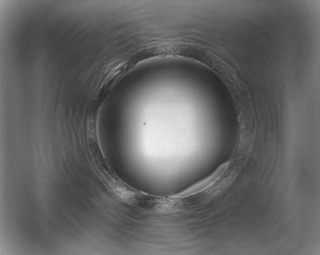 X0000056010096200508221506