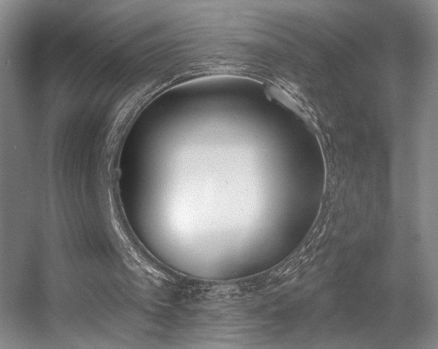 X0000056010097200508221505