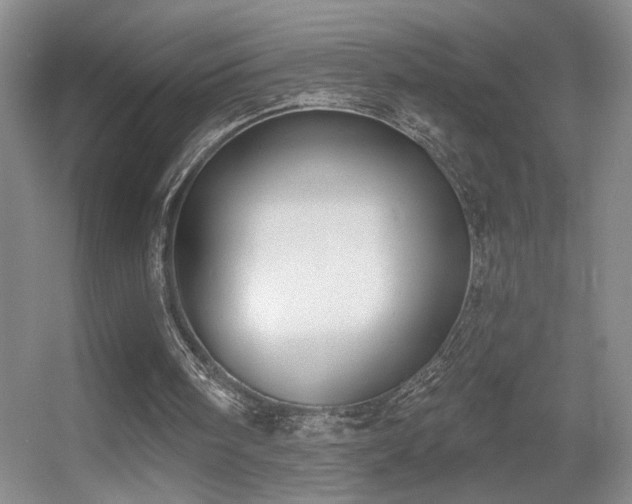 X0000056010098200508221505