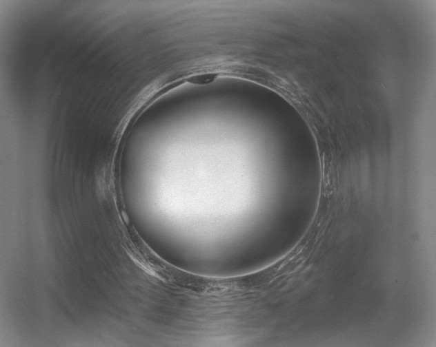 X0000056010099200508221505