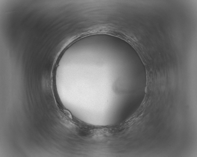 X0000056010100200508221505