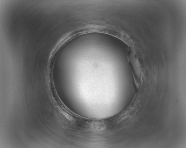 X0000056010101200508221505
