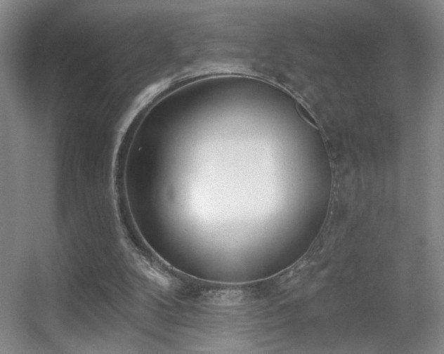 X0000056010104200508221505