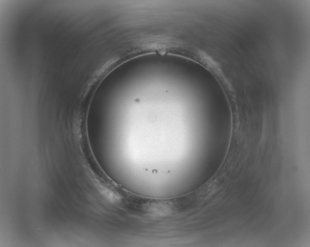 X0000056010106200508221505