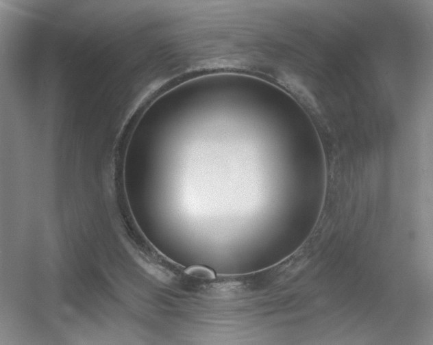 X0000056010108200508221505