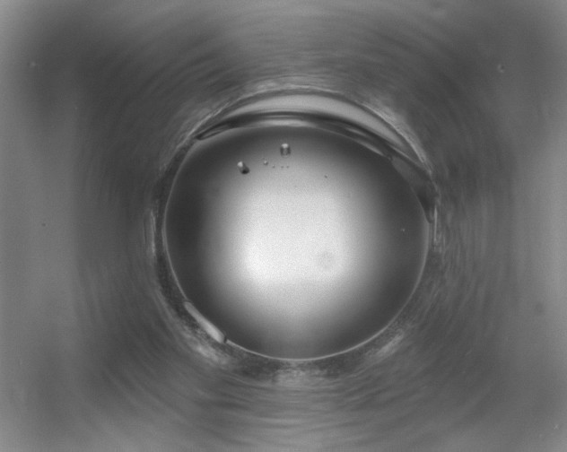 X0000056010109200508221505