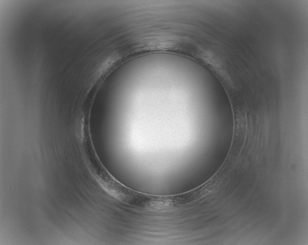 X0000056010110200508221505