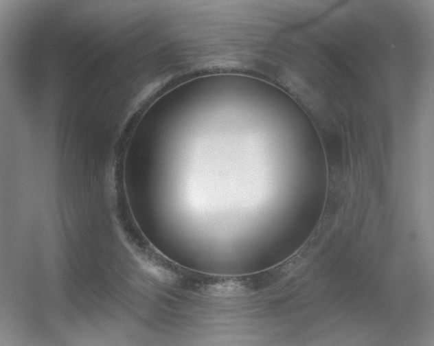 X0000056010112200508221505