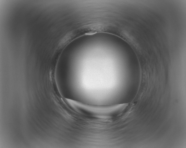 X0000056010117200508221505
