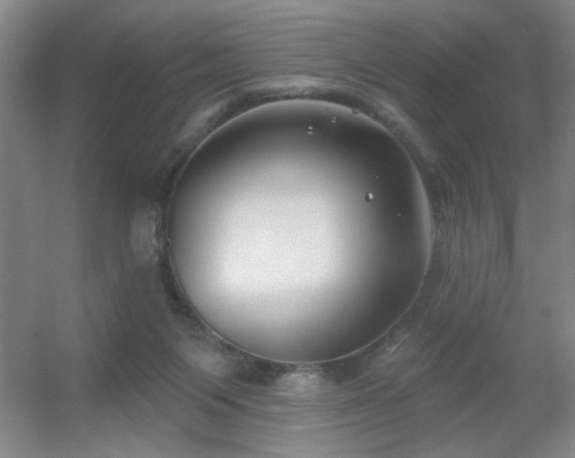 X0000056010119200508221505