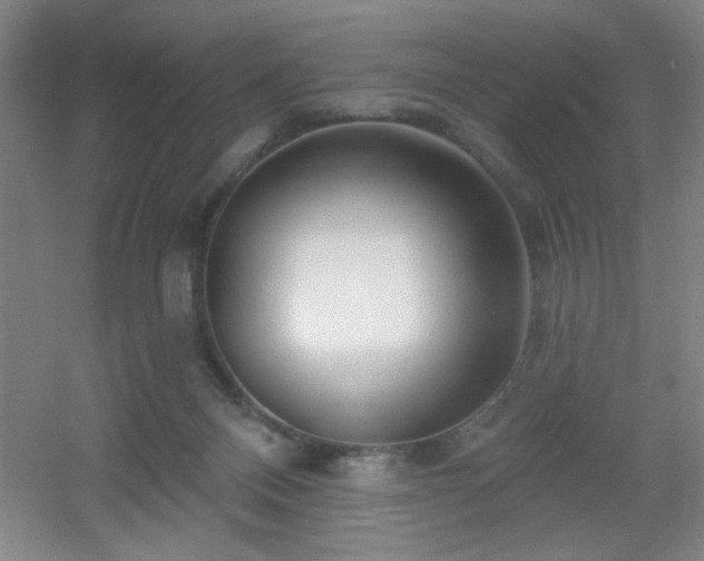 X0000056010120200508221504