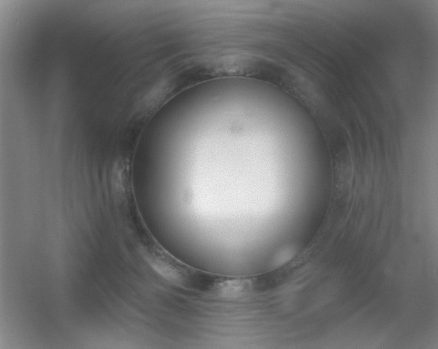 X0000056010126200508221504