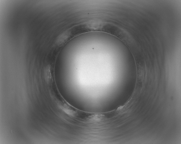 X0000056010128200508221504