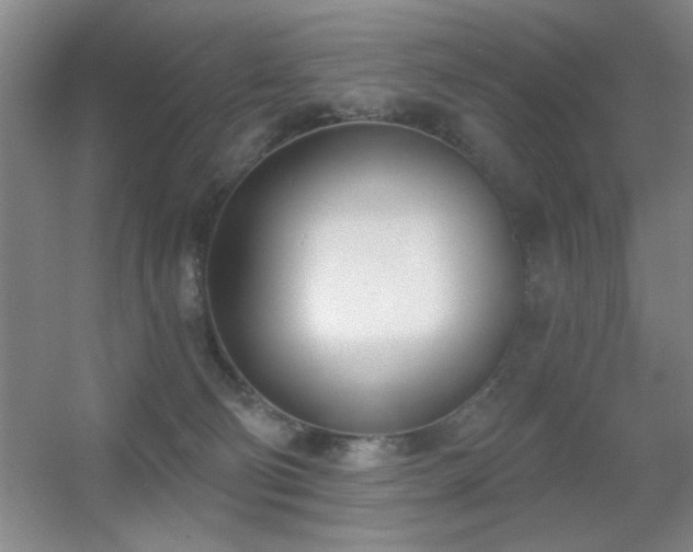 X0000056010130200508221504