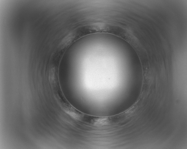 X0000056010132200508221504