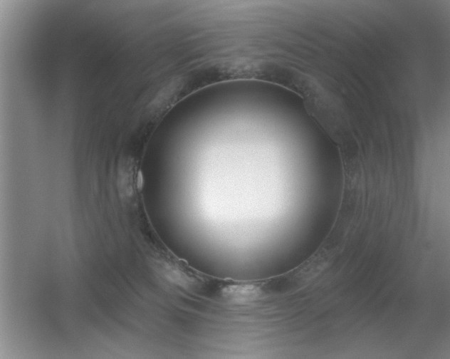 X0000056010133200508221504