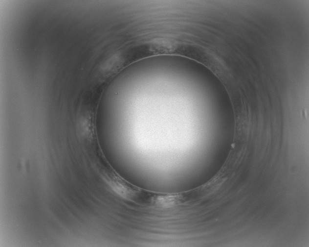X0000056010134200508221504