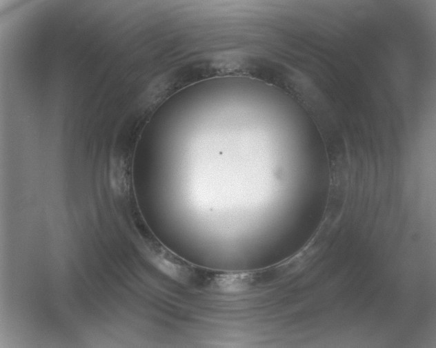 X0000056010136200508221504