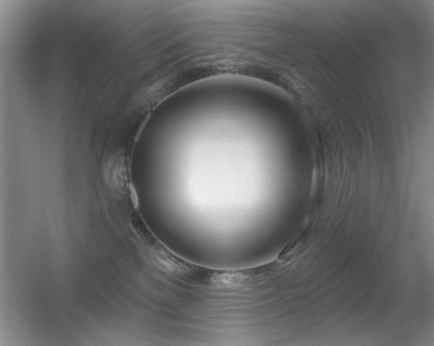 X0000056010137200508221504