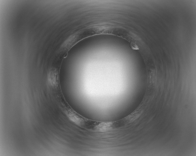 X0000056010138200508221504