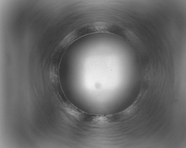 X0000056010140200508221504