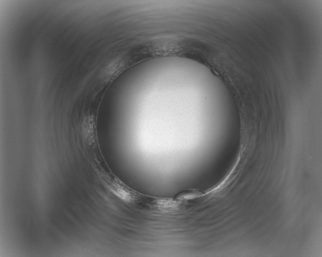 X0000056010144200508221504