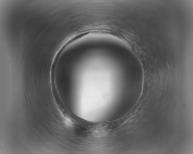 X0000056010148200508221503