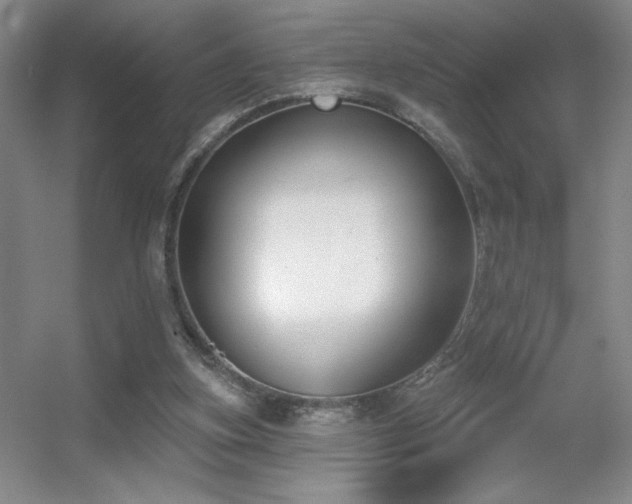X0000056010155200508221503