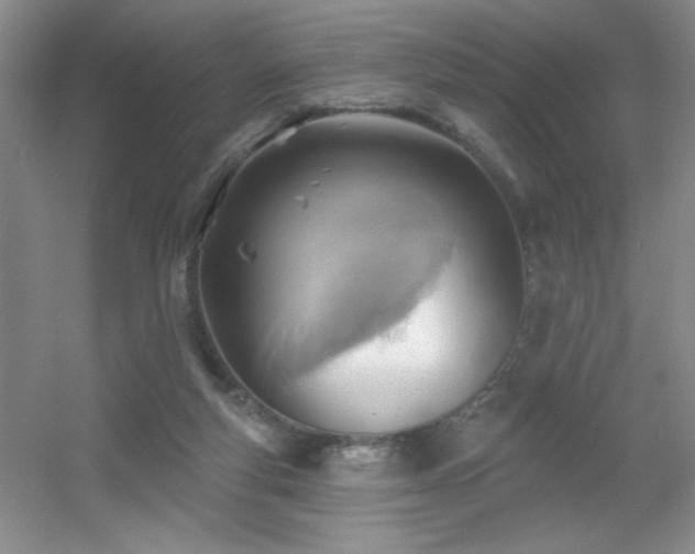 X0000056010163200508221504