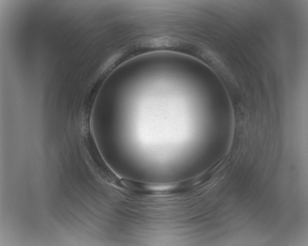 X0000056010164200508221504