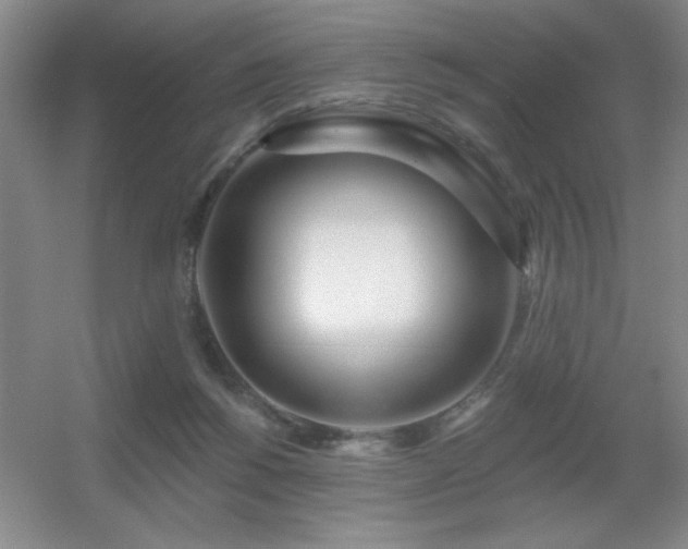 X0000056010168200508221504