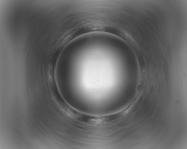 X0000056010170200508221504
