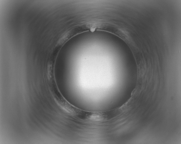X0000056010171200508221504