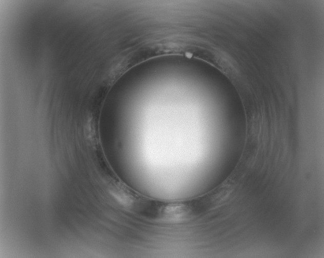 X0000056010173200508221504