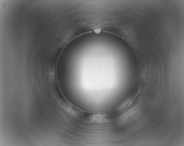 X0000056010179200508221504