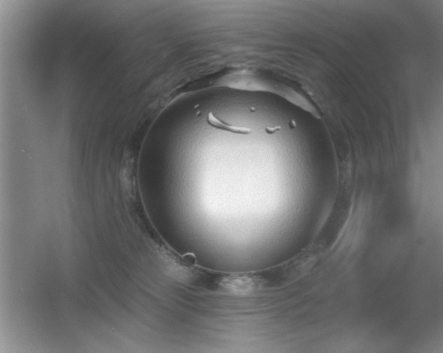 X0000056010181200508221504