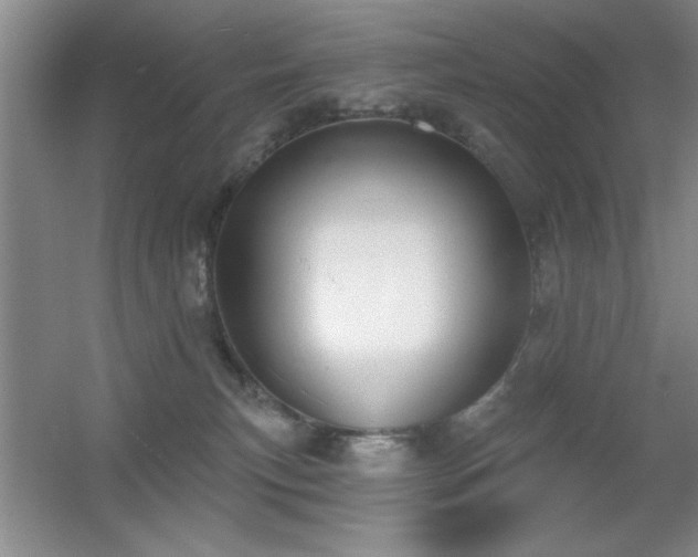 X0000056010183200508221504