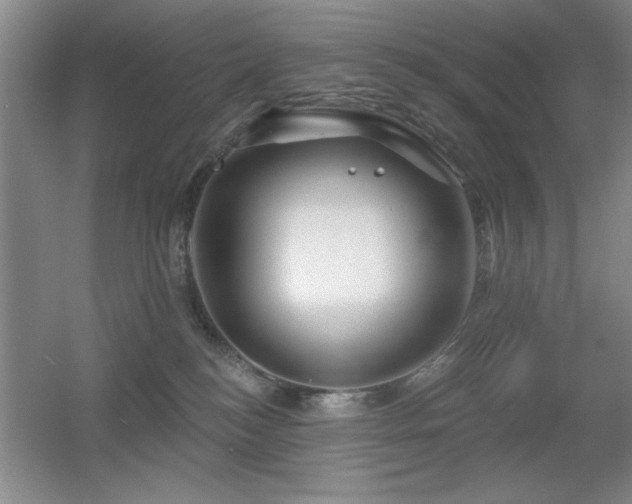 X0000056010184200508221504