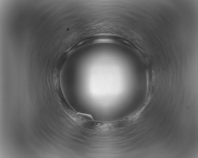 X0000056010186200508221504