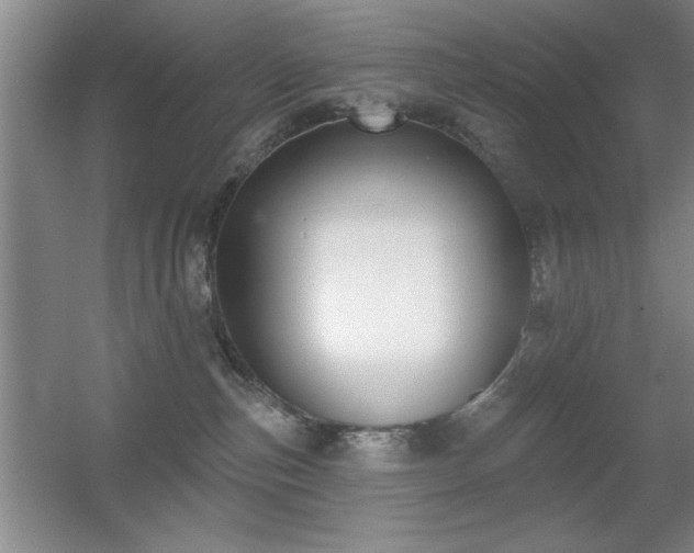 X0000056010187200508221504