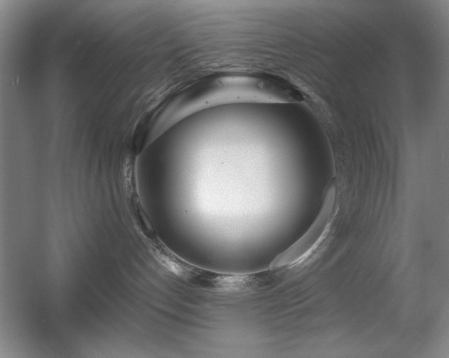 X0000056010192200508221504