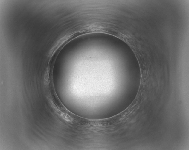 X0000056010194200508221503