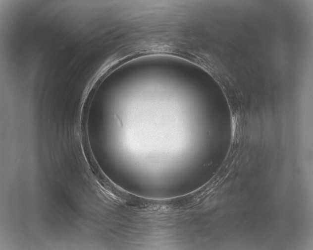 X0000056010195200508221503