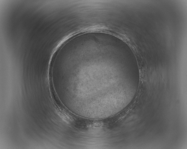 X0000056010196200508221503