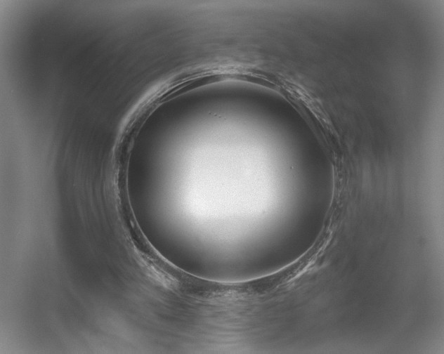X0000056010197200508221503