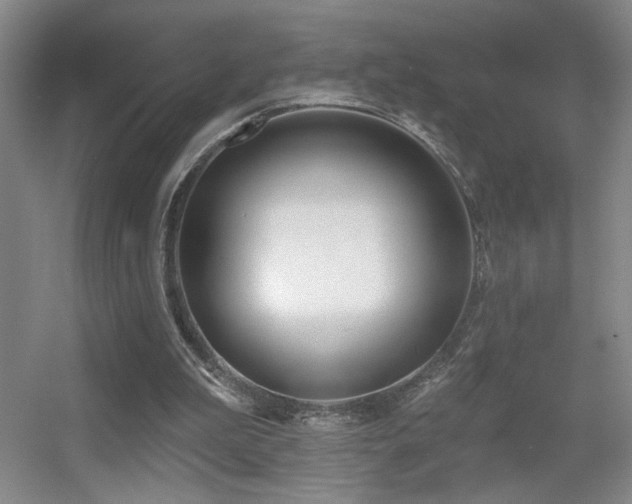 X0000056010199200508221503